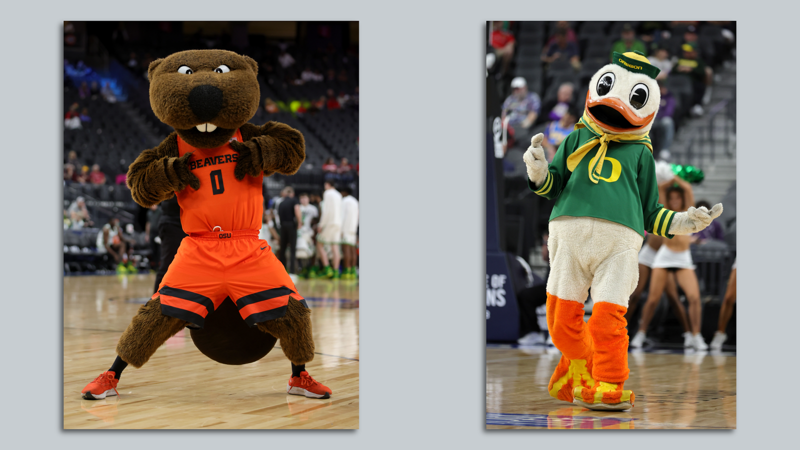 Ducks Fans Unhappy With University Of Oregon's Move To The Big Ten ...