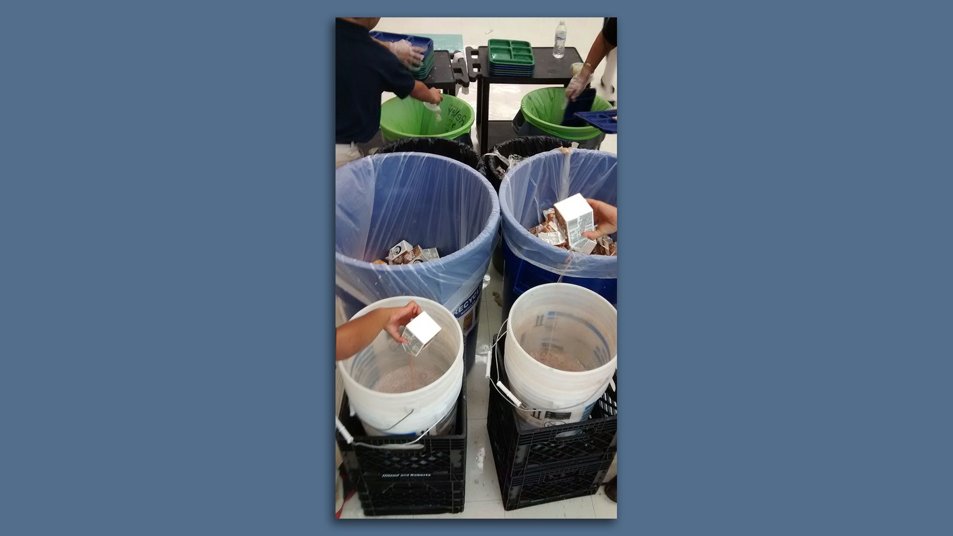Buckets for compost, recyclables and garbage. 