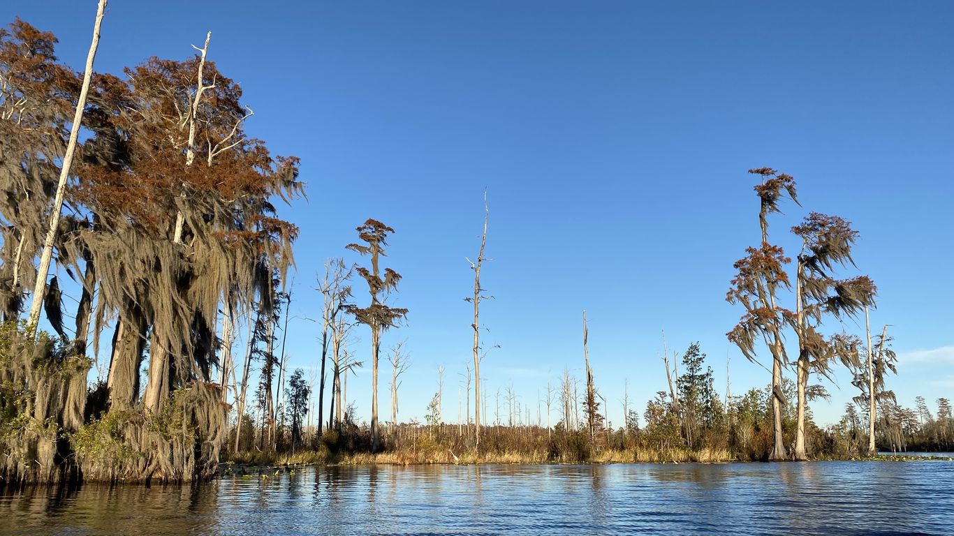 A Bipartisan Plan To Protect The Okefenokee Swamp Axios Atlanta   1645136338028 