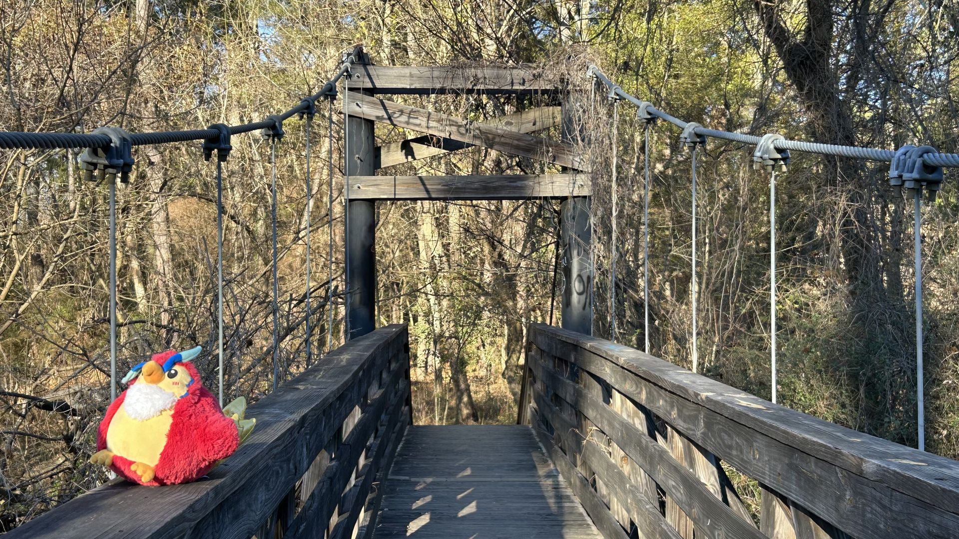 Red and yellow stuffed bird with blue horns sitting on a wooden suspension bridge railing in a sunny forest with bare trees and green foliage.