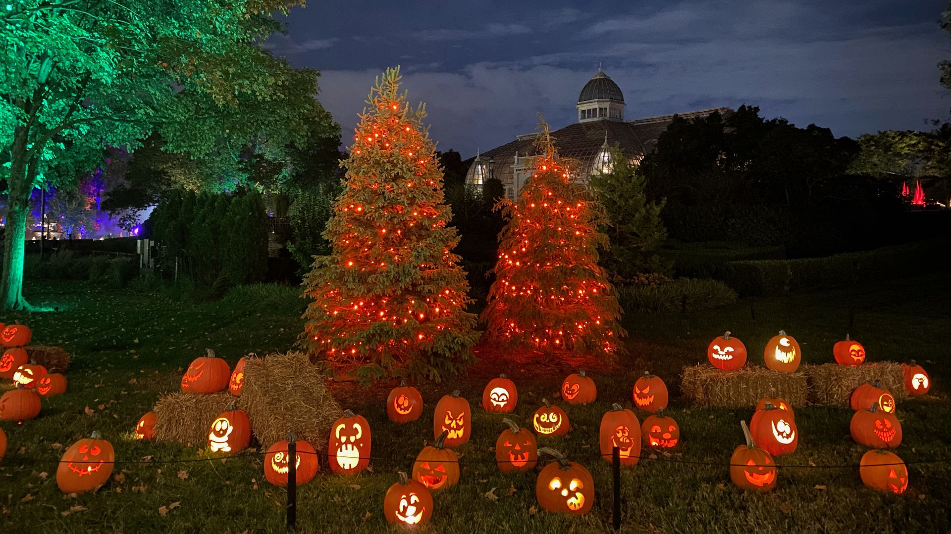 Night scene of a Halloween display with dozens of carved pumpkins lit from within, arranged on hay bales in a field. Green-lit trees on the left, a domed building in the background, and a dark blue sky.