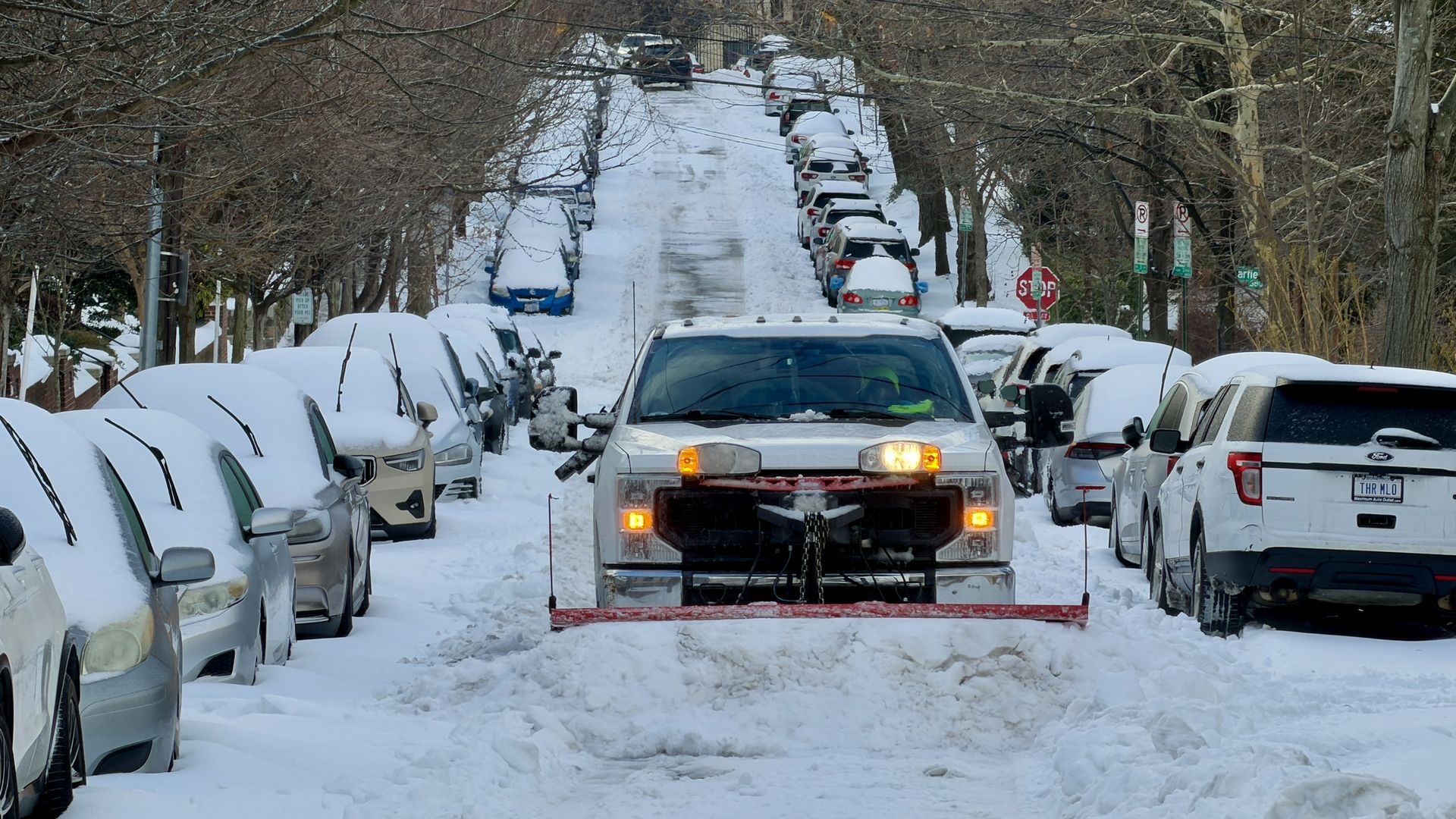 White snowplow truck clearing a snow-covered street lined with parked cars blanketed in snow, with leafless trees on both sides during winter.
