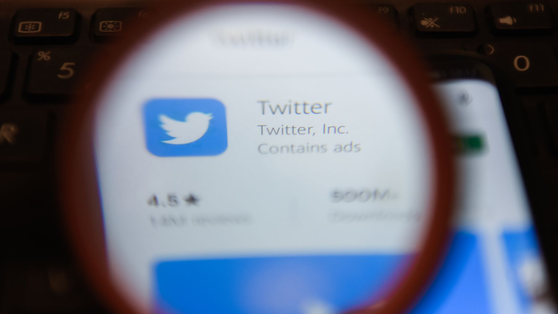 The Twitter logo appears under a magnifying glass.