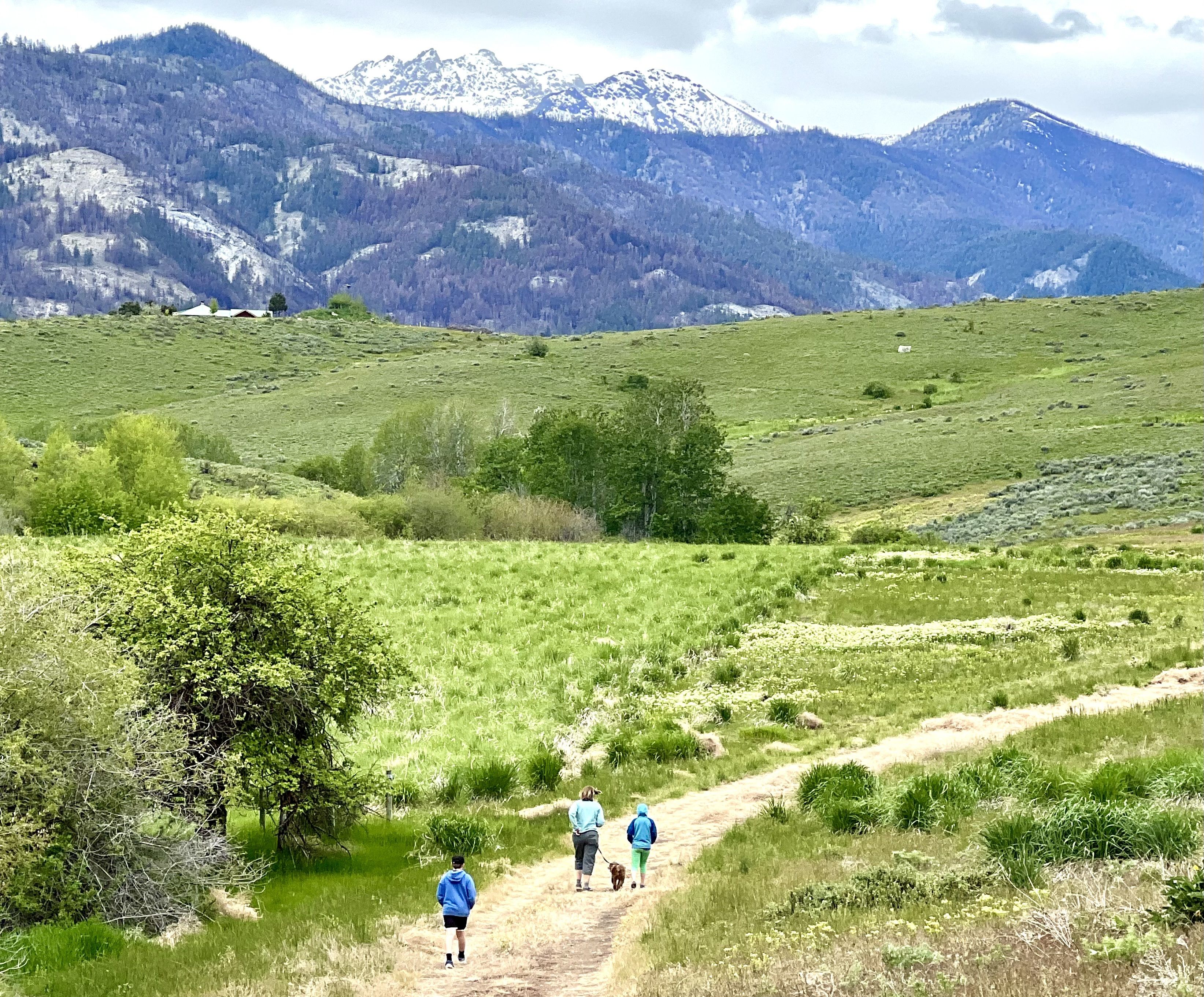 Hike Across Washington Through Books — Washington Trails Association