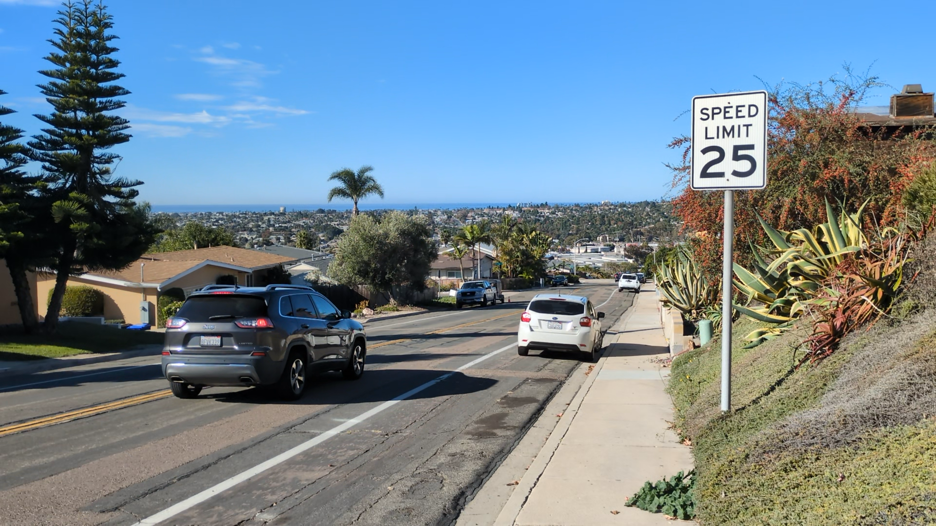 Street view with cars driving and parked, a white speed limit sign showing 25, green bushes and plants on the right, houses on the left, clear blue sky, and distant cityscape.