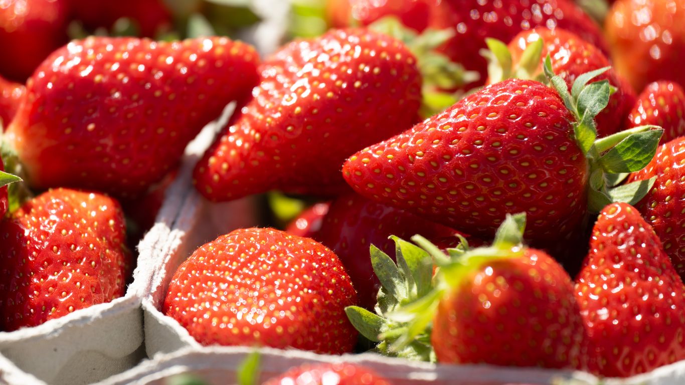 It's fruit picking season at Central Ohio farms