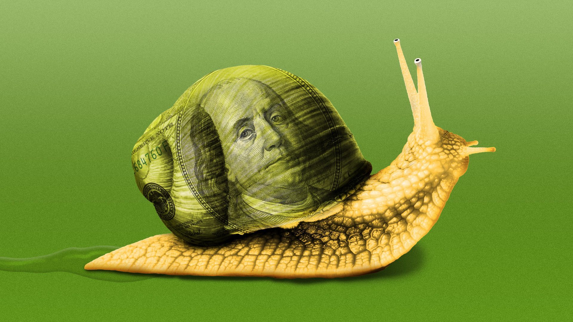 Illustration of a slug with a hundred dollar shaped shell