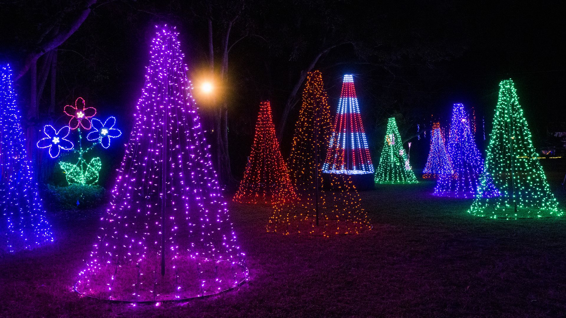 Christmas trees made of lights