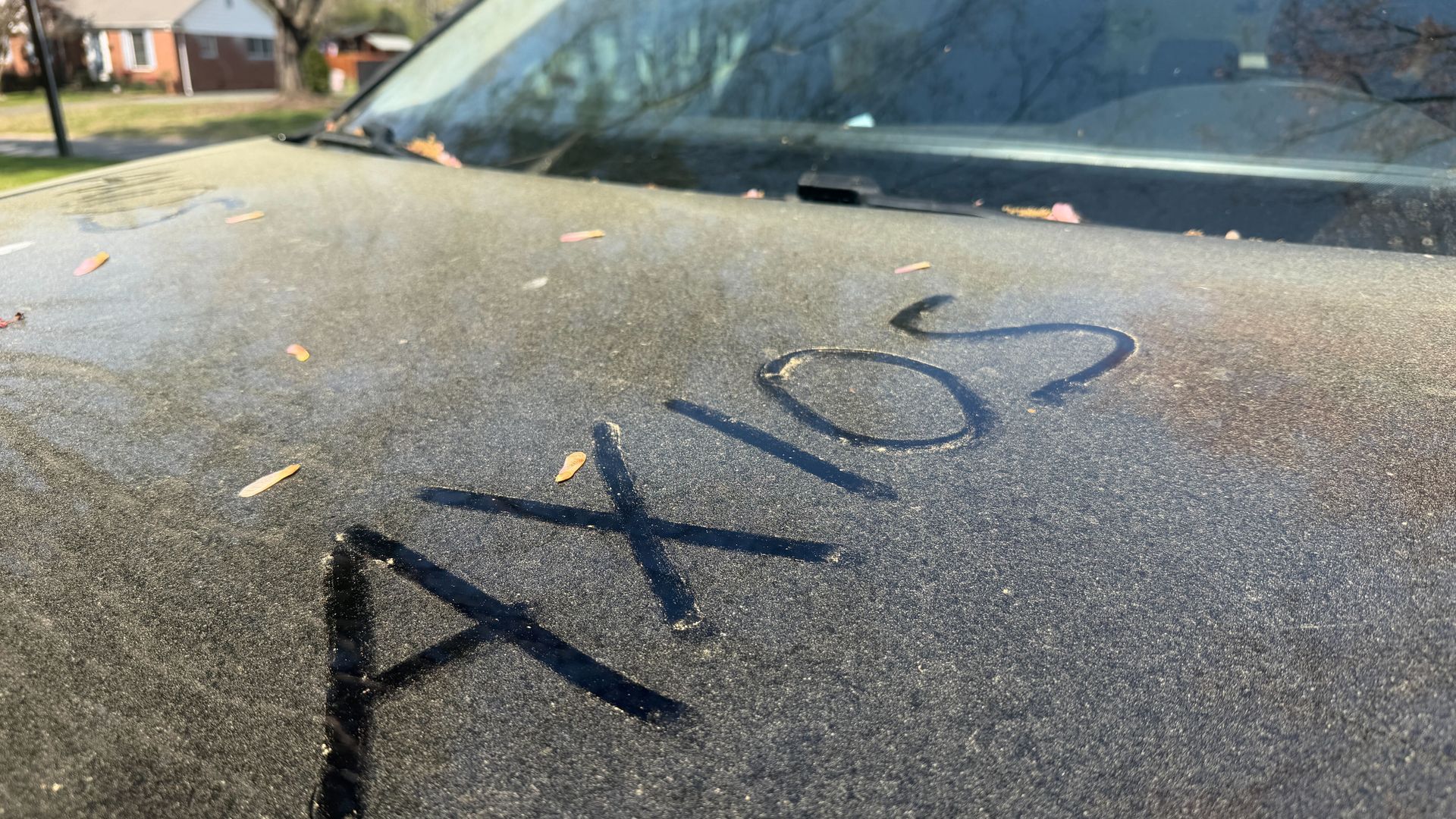 Dusty car hood with a large black marker drawing reading XK02 across the surface; small leaves scattered, with a windshield and a suburban street in the blurred background.
