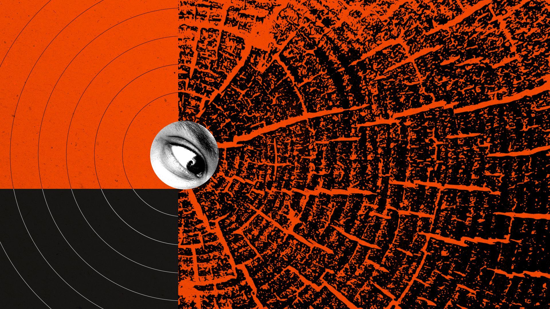 Illustrated collage of a circle cut out of an eye, tilting off of an edge, with concentric circles off to one side, lined up with a pattern of a tree stump spiral pattern on the other. 