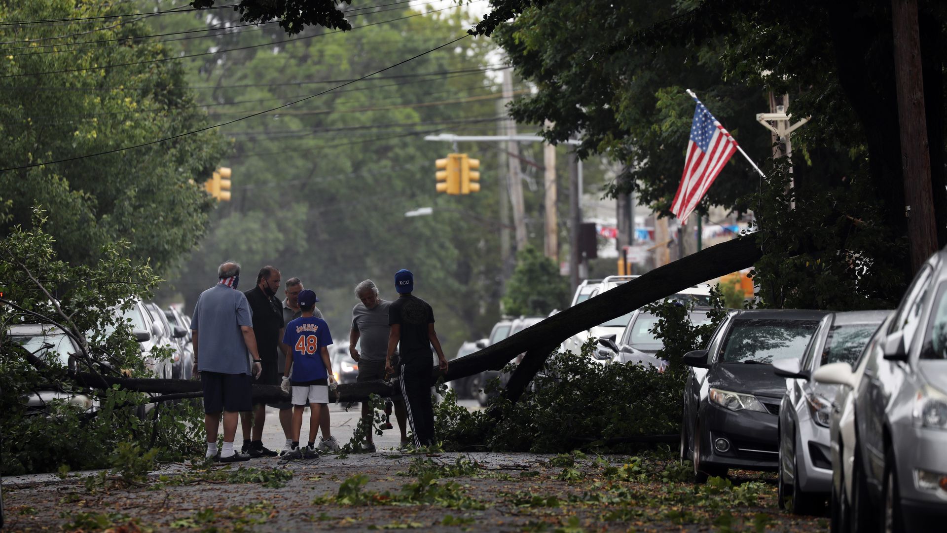 A group of people stand around a fallen tree in the street