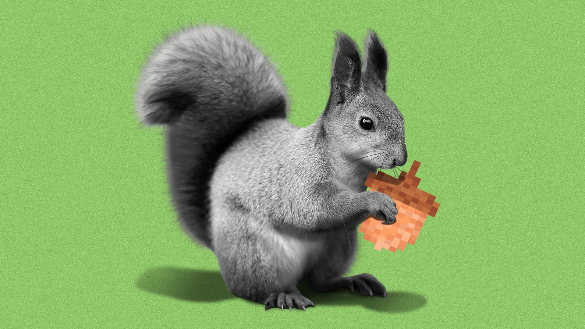 Illustration of a squirrel holding a pixelated acorn.