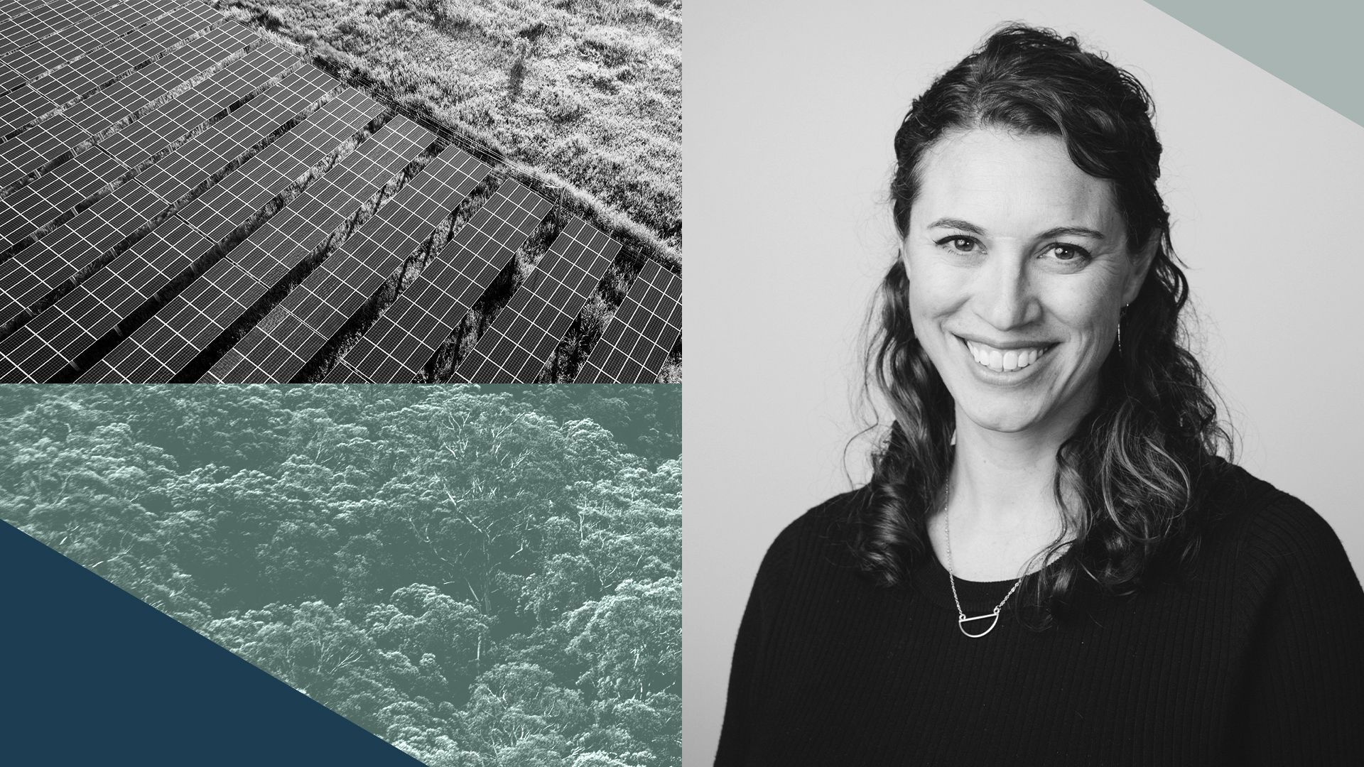 Photo Illustration of Dawn Lippert, CEO of Elemental Excelerator, solar panels and treetops