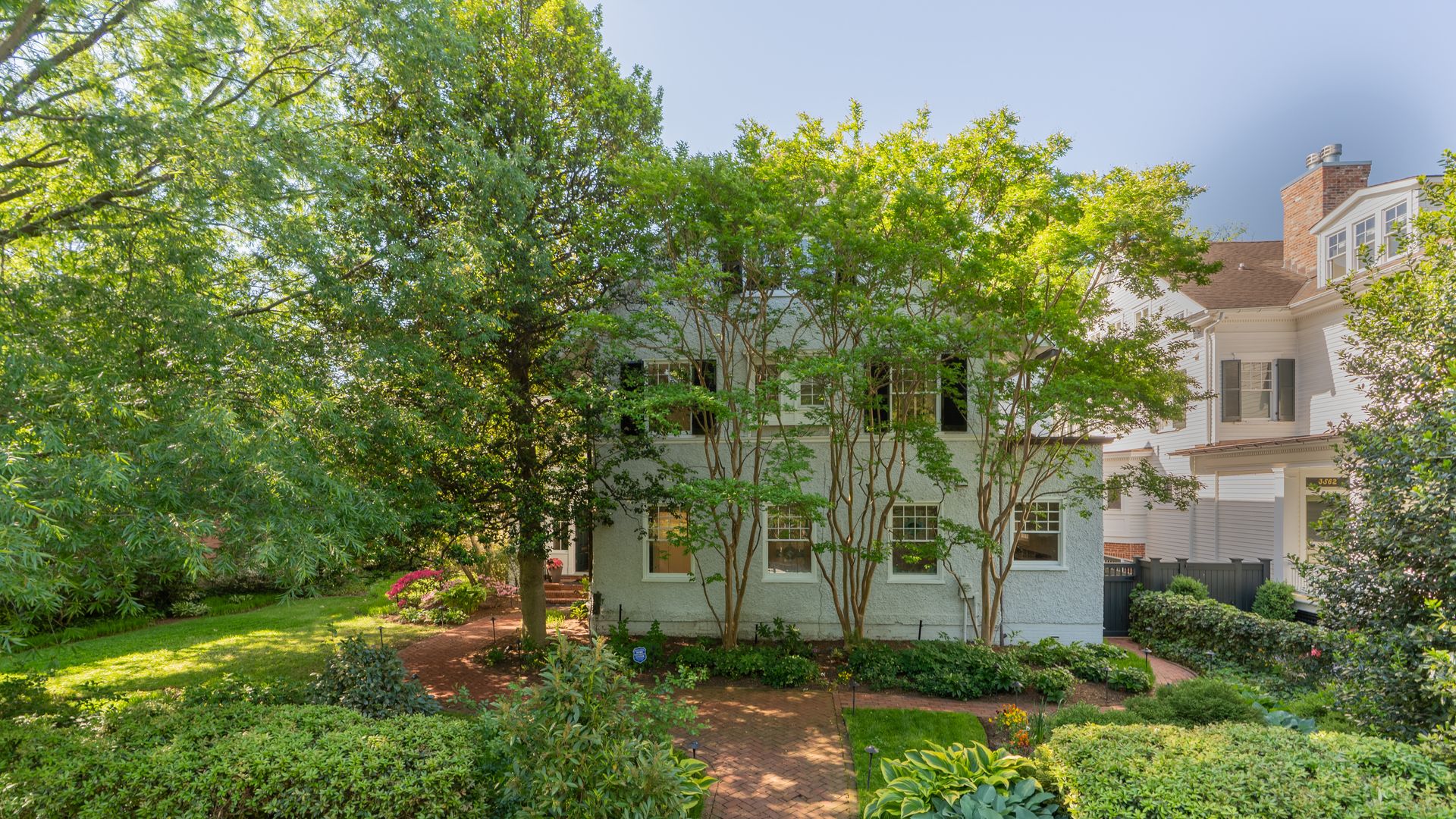 Sunny suburban yard with dense green trees in front of a pale gray two-story house. A brick path leads to the entrance; white-framed windows peek through foliage on the right.