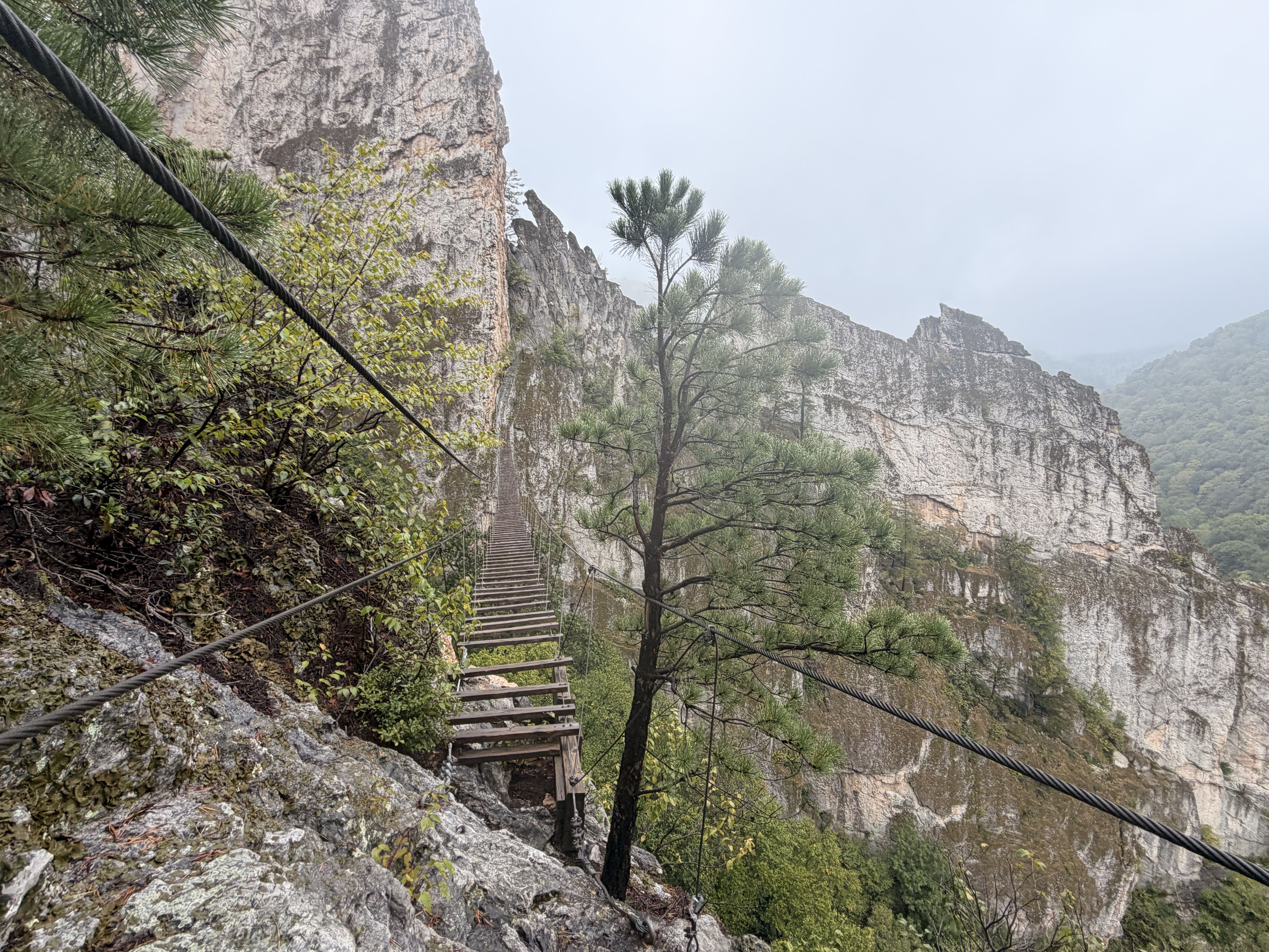 Rocky mountainside with a narrow wooden stairway and thick cables along the cliff; pine trees line the slope as misty mountains loom in the background.