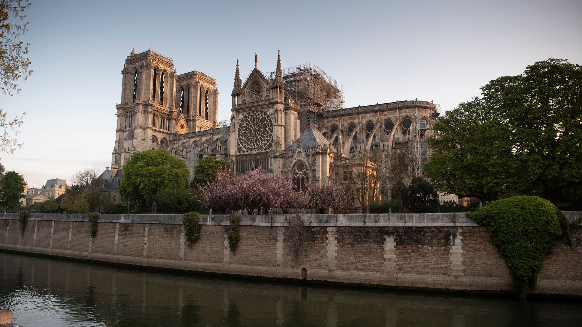 The Cathedral of Notre Dame
