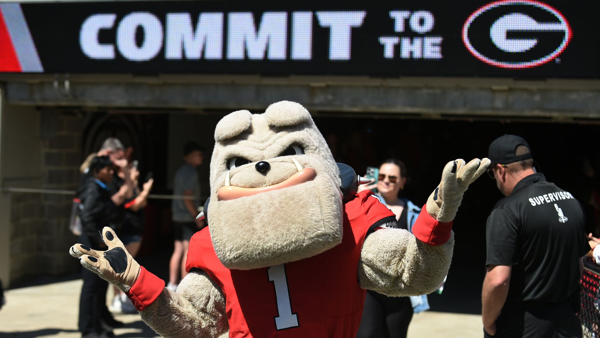 A bulldog mascot stands with his arms in a shrugging position. 