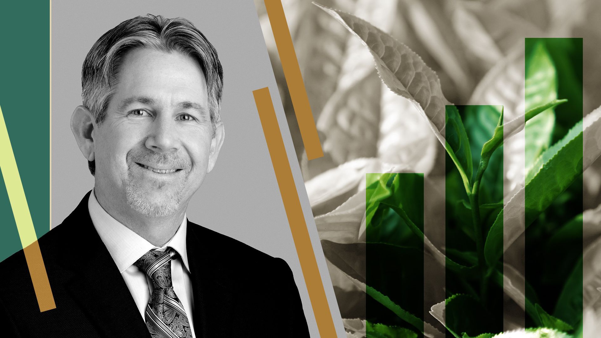 Photo illustration of Blaine Townsend with an image of plants and abstract shapes.