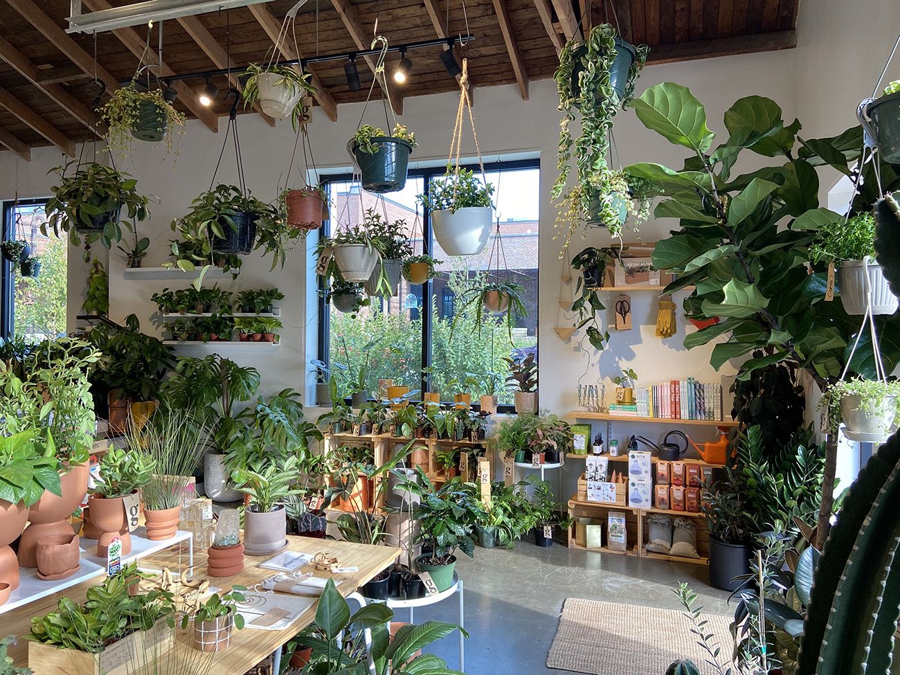 5 cool plant shops in Charlotte - Axios Charlotte