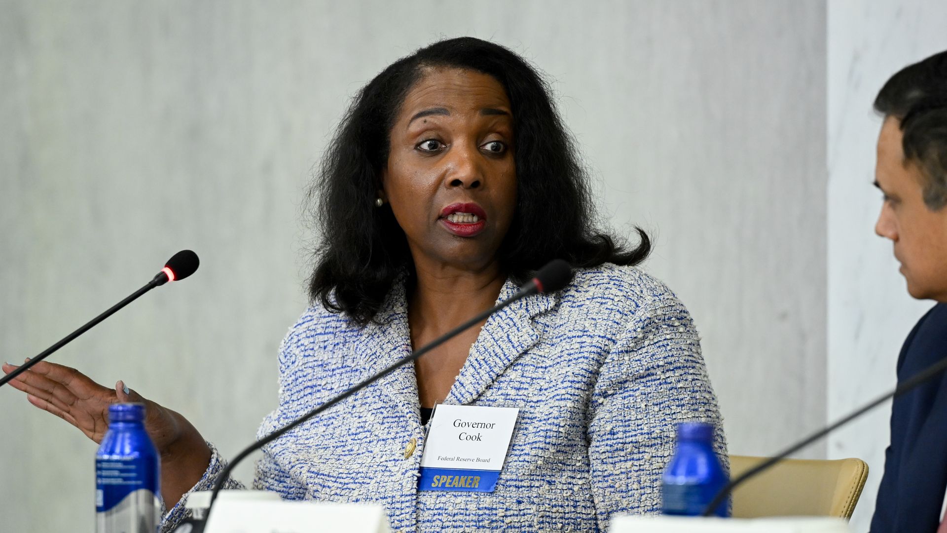 Federal Reserve governor Lisa Cook speaking at a panel.
