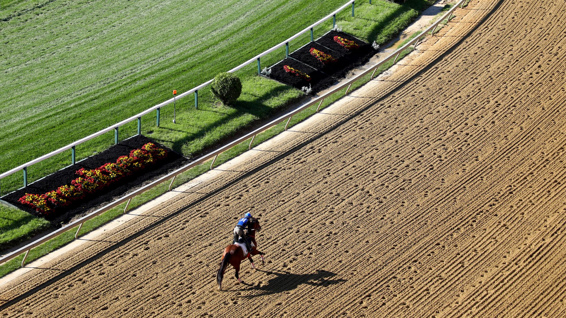 Bodexpress trains on the Pimlico track