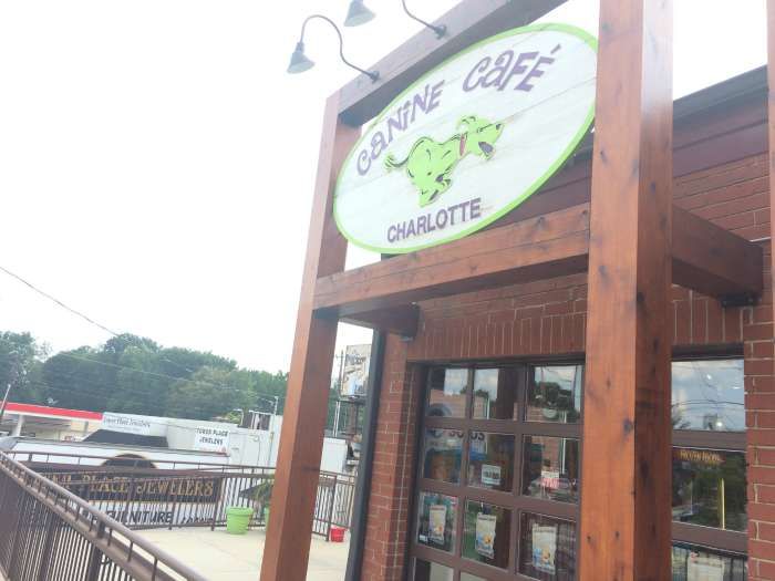 Canine Cafe