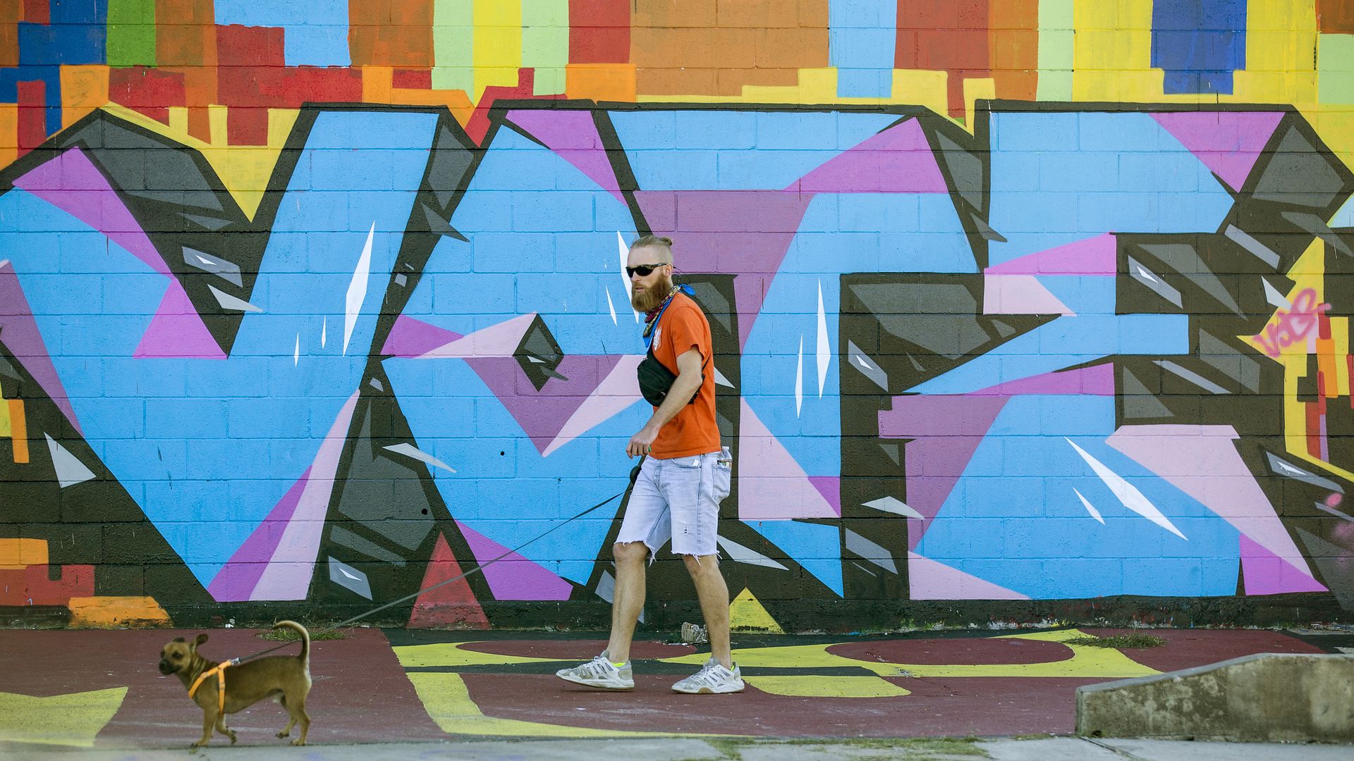 A person walks a small dog in front of a mural that says "VOTE"