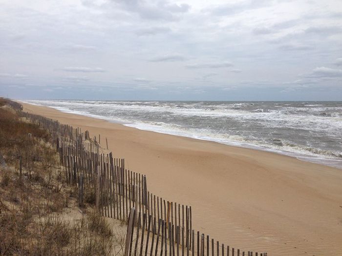 Driving Distance 4 North Carolina dogfriendly, offleash beaches to