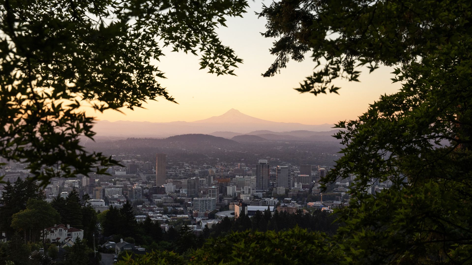 City skyline at sunset viewed through dark green tree branches, with a large mountain in the distance under a soft orange and pink sky.