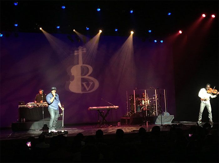 black-voilin-charlotte