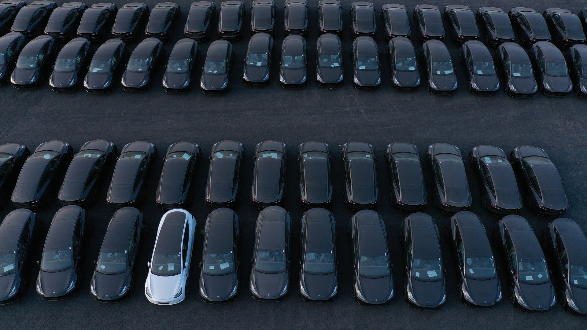  Tesla Model Y electric cars stand at the new Tesla Gigafactory electric car manufacturing plant on March 25, 2022 near Gruenheide, Germany.