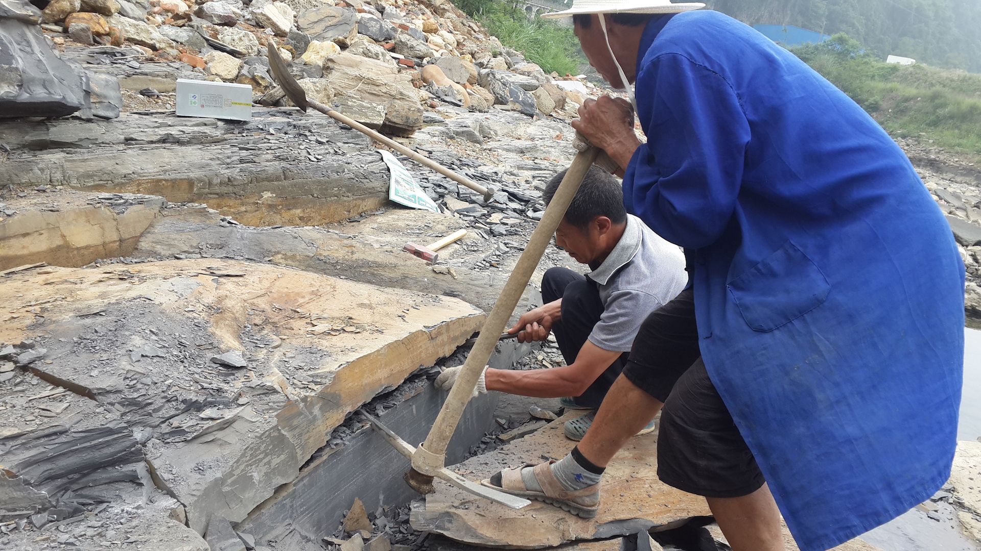 Scientists work to dig up fossils at the Qingjiang biota in China.