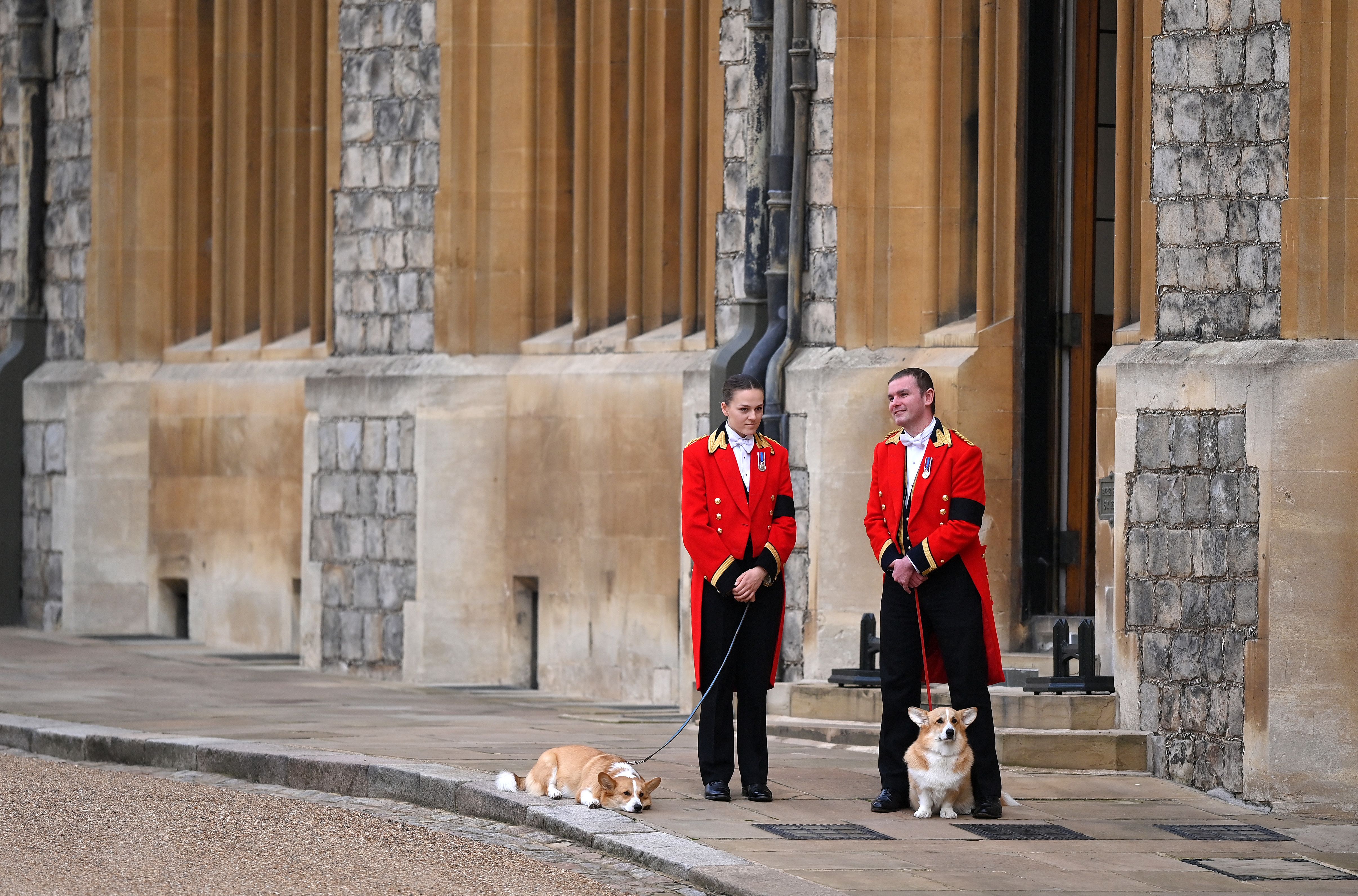 Members of the Royal Household walking corgis near the service at Windsor Castle.