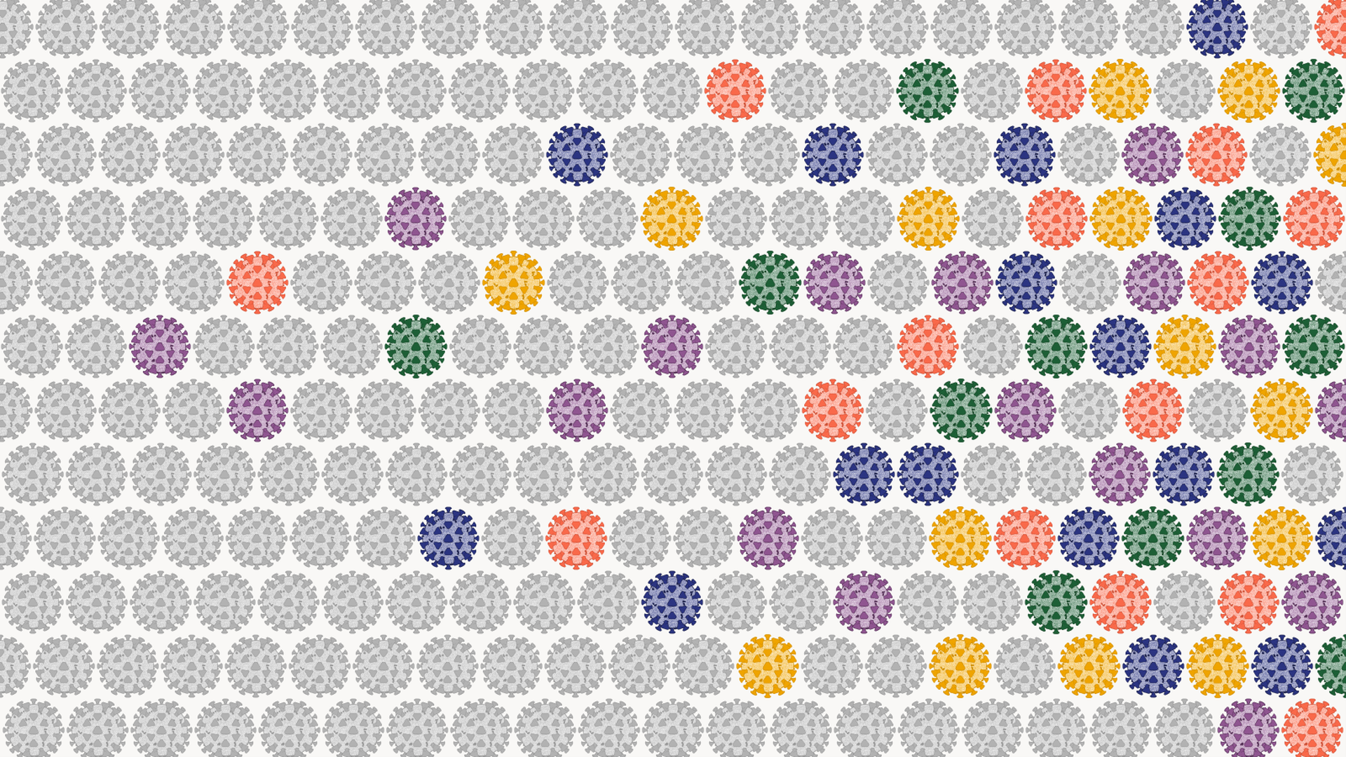 A grid of viruses changing from grey to colored