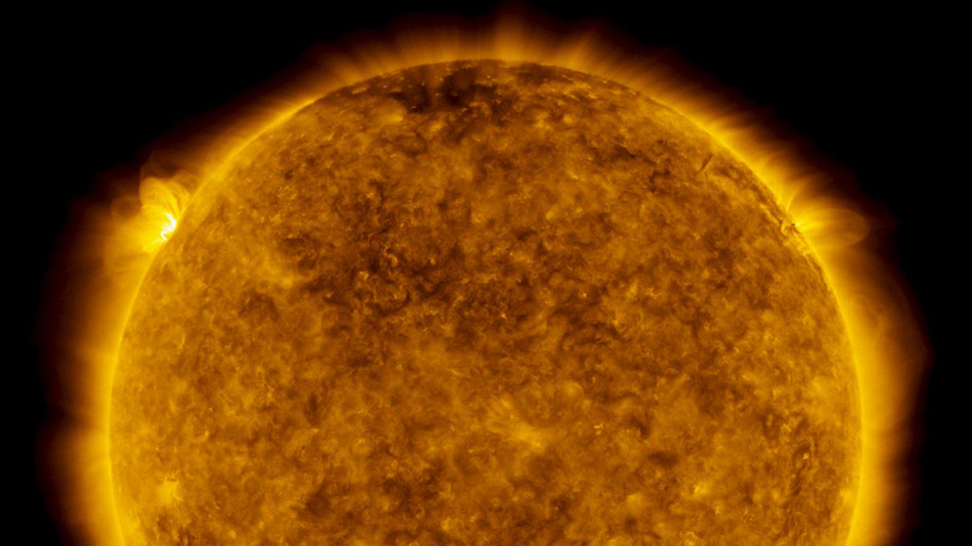 A NASA photo of the Sun.