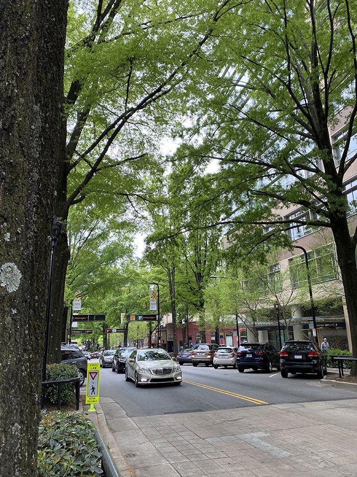 yea that Greenville, #yeathatgreenville, upstate, Greenville, sc, South Carolina, Upstate