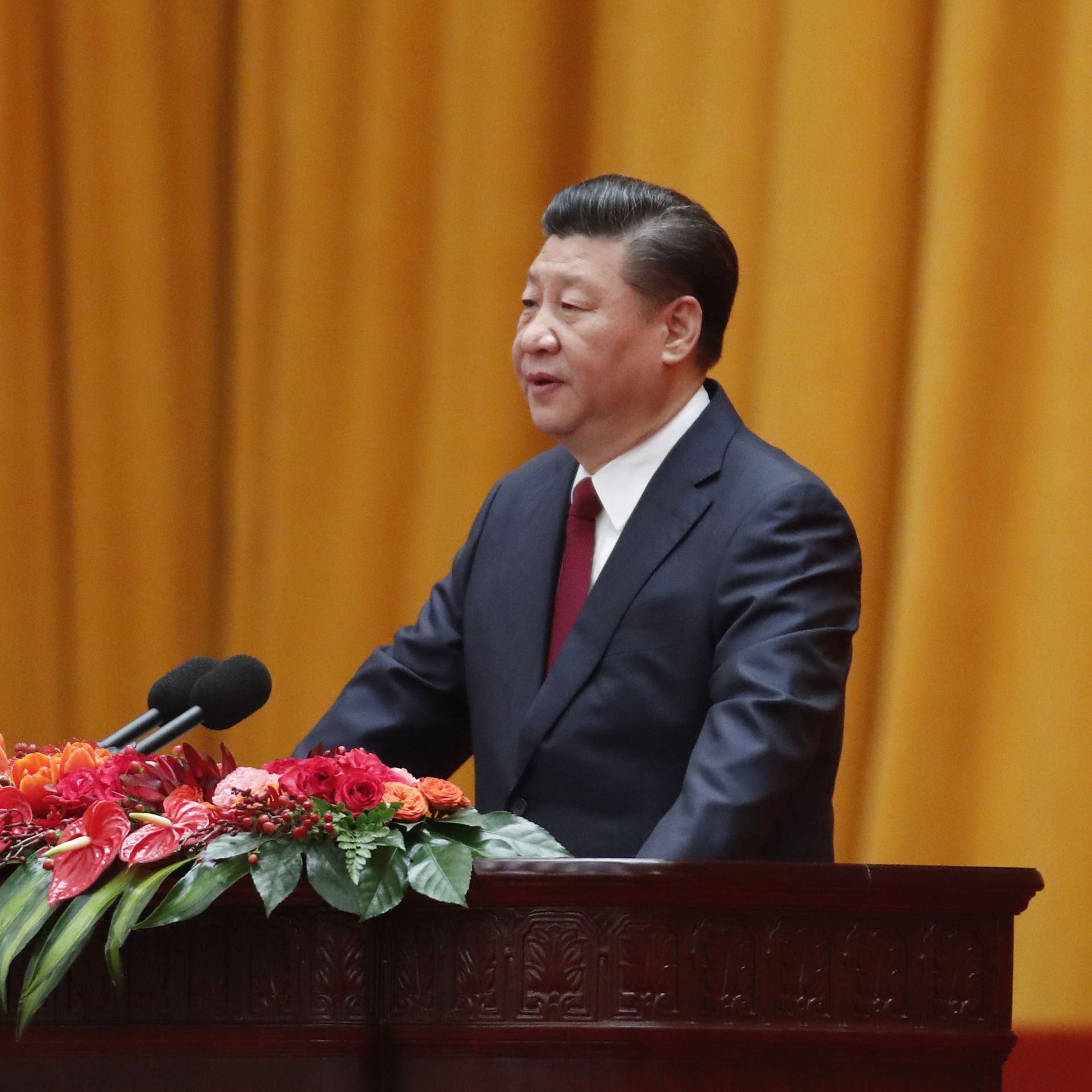 Xi Jinping at lectern