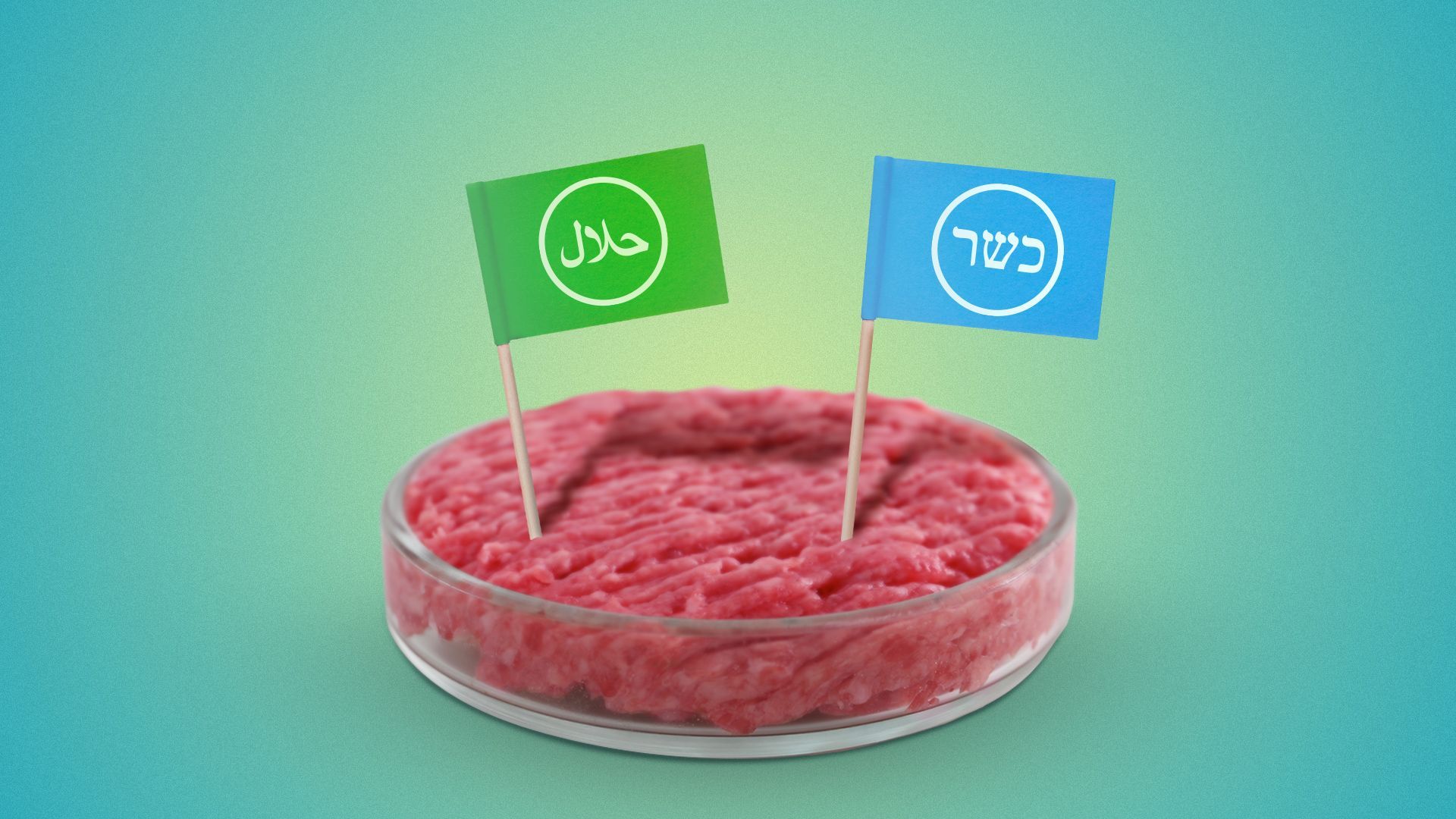 Illustration of a petri dish full of minced meat with a "halal" and "kosher" flag planted in the meat.