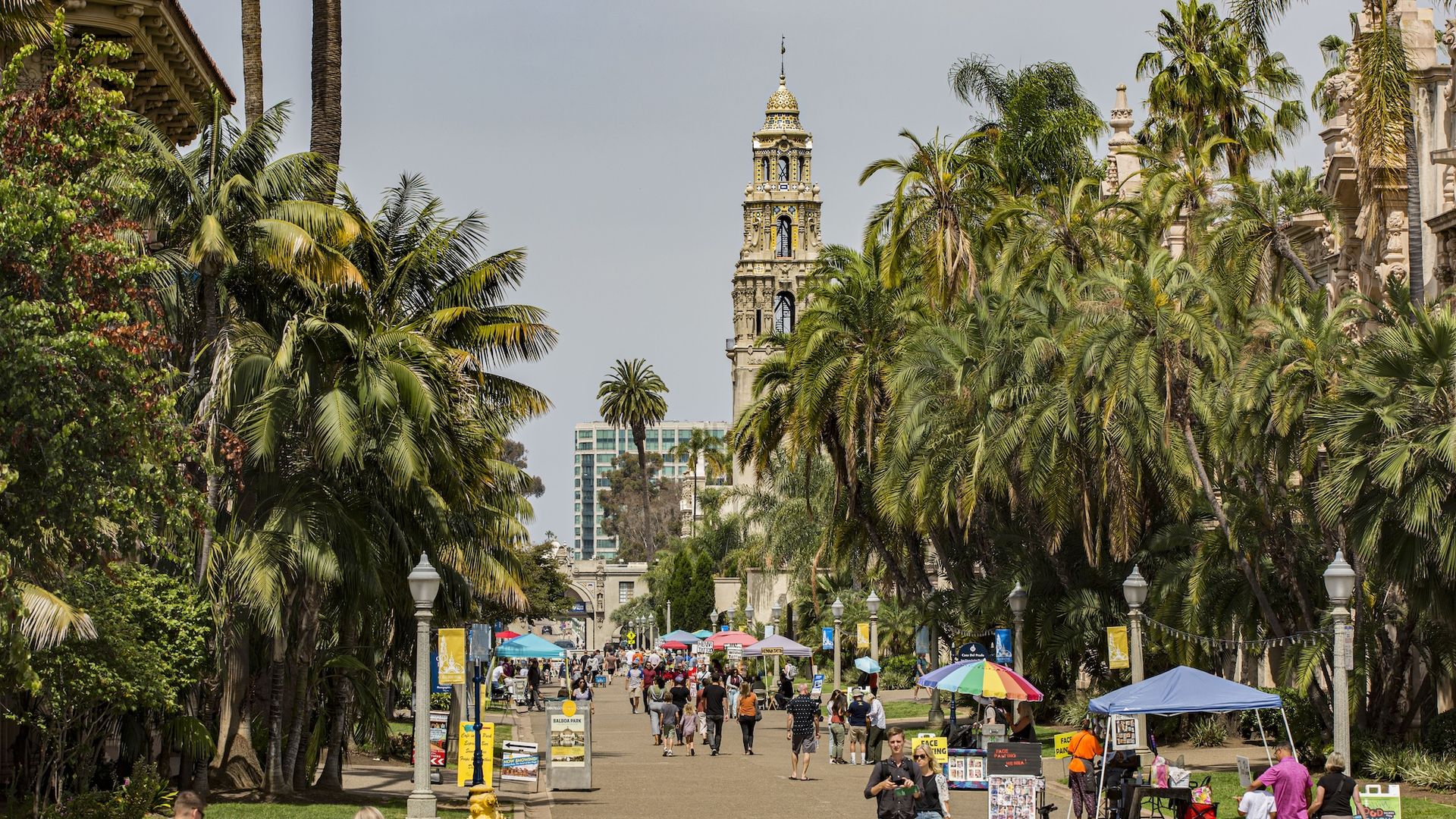 A pedestrian walkway in Balboa Park, lined with palm trees and vendor booths under colorful umbrellas, with people strolling and the ornate California Tower rising in the background.