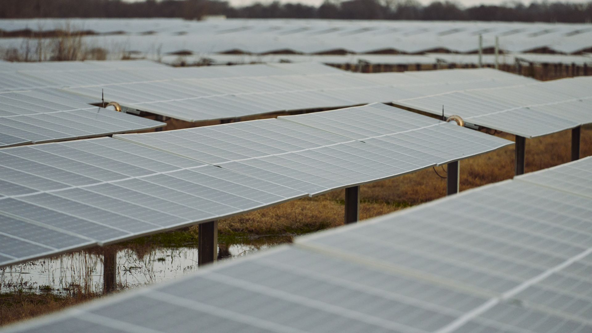 A general view of the solar farm near Deport, Texas on March 5, 2022.