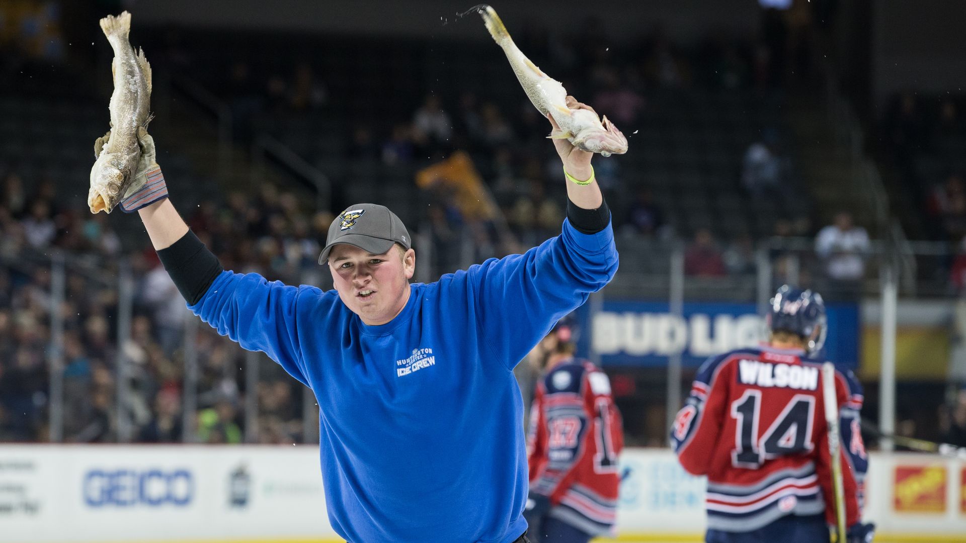 An Toledo Walleye hockey team ice crew member holds two frozen walleye fish in the air