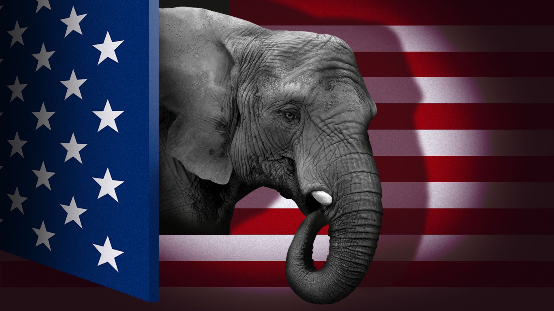 Illustration of an elephant peaking out behind a "door" in the form of an American flag