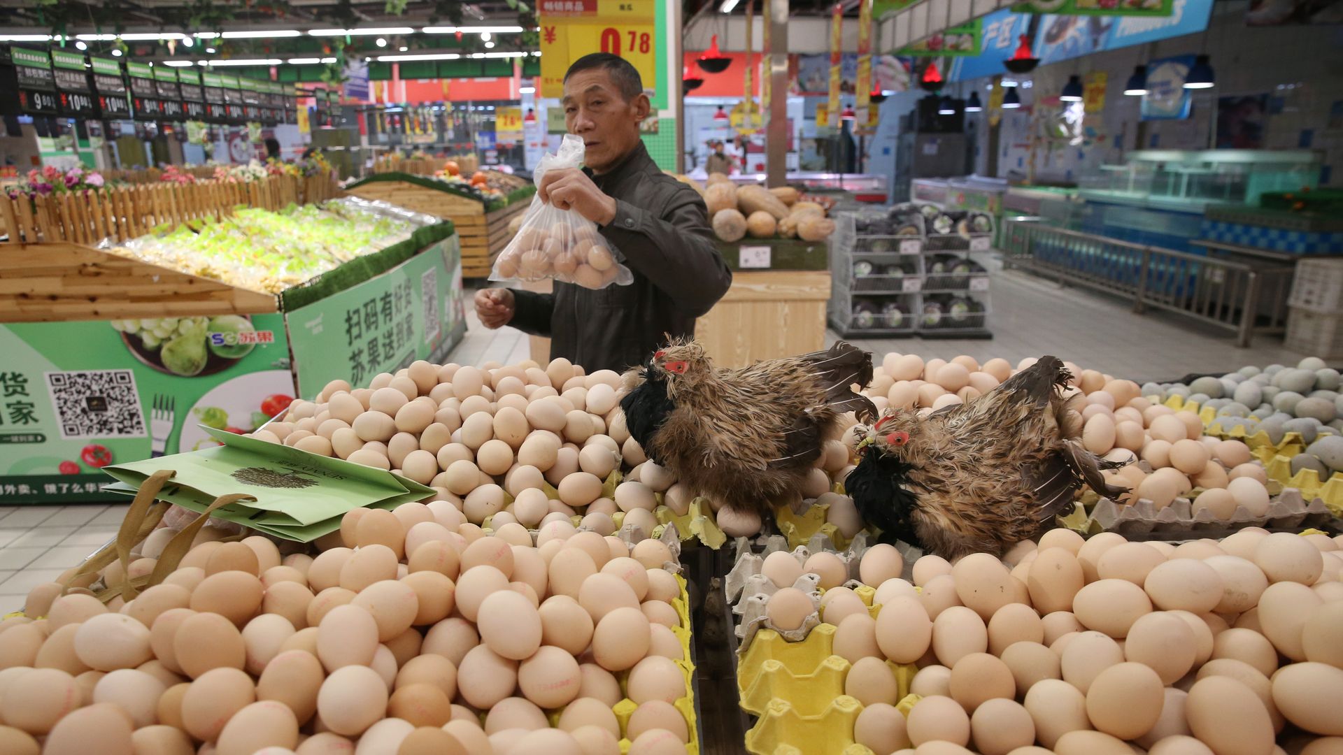 In this image, a man stands holding a plastic bag of eggs while standing in front of two large crates of eggs with two chickens standing on top.