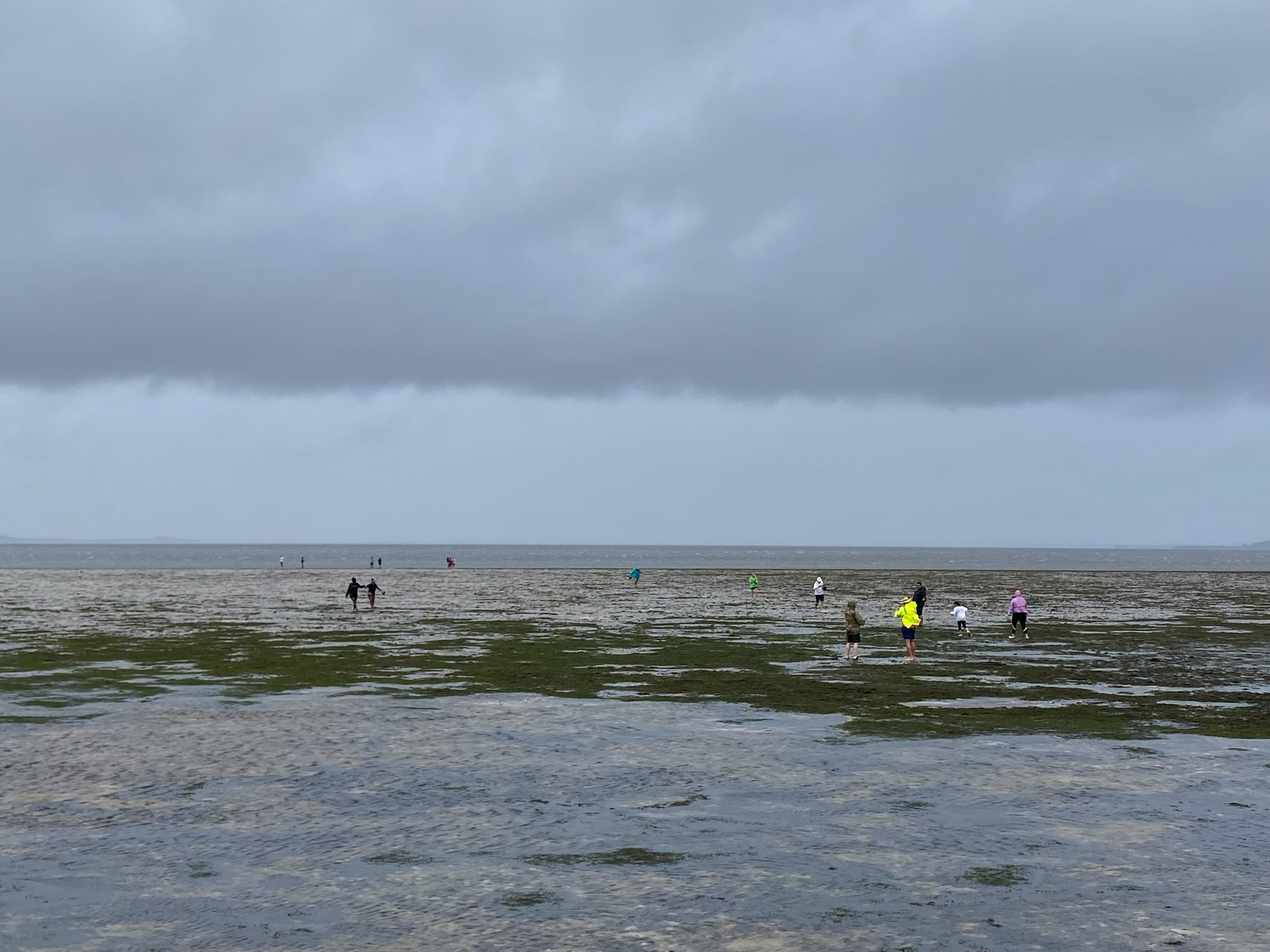Some people walk out from Tampa's Bayshore Boulevard onto the Bay after the water retreated ahead of Hurricane Ian.