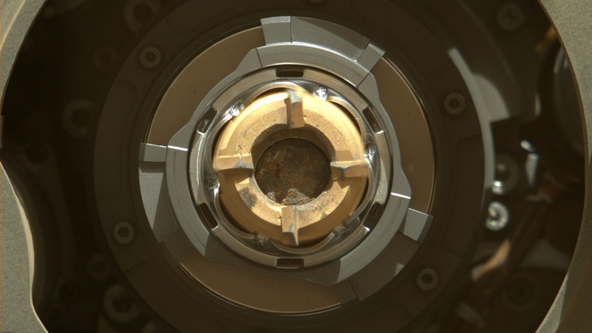 A rock inside of one of Perseverance's sampling tubes