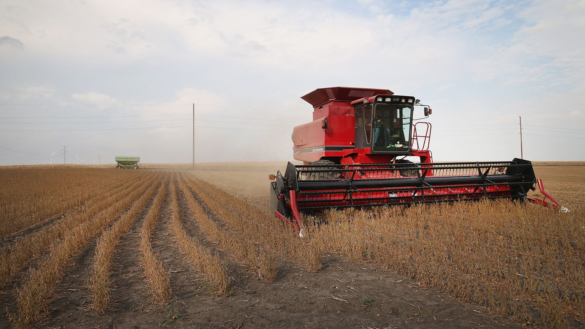 Soybean harvest on October 2, 2013 near Worthington, Minnesota.
