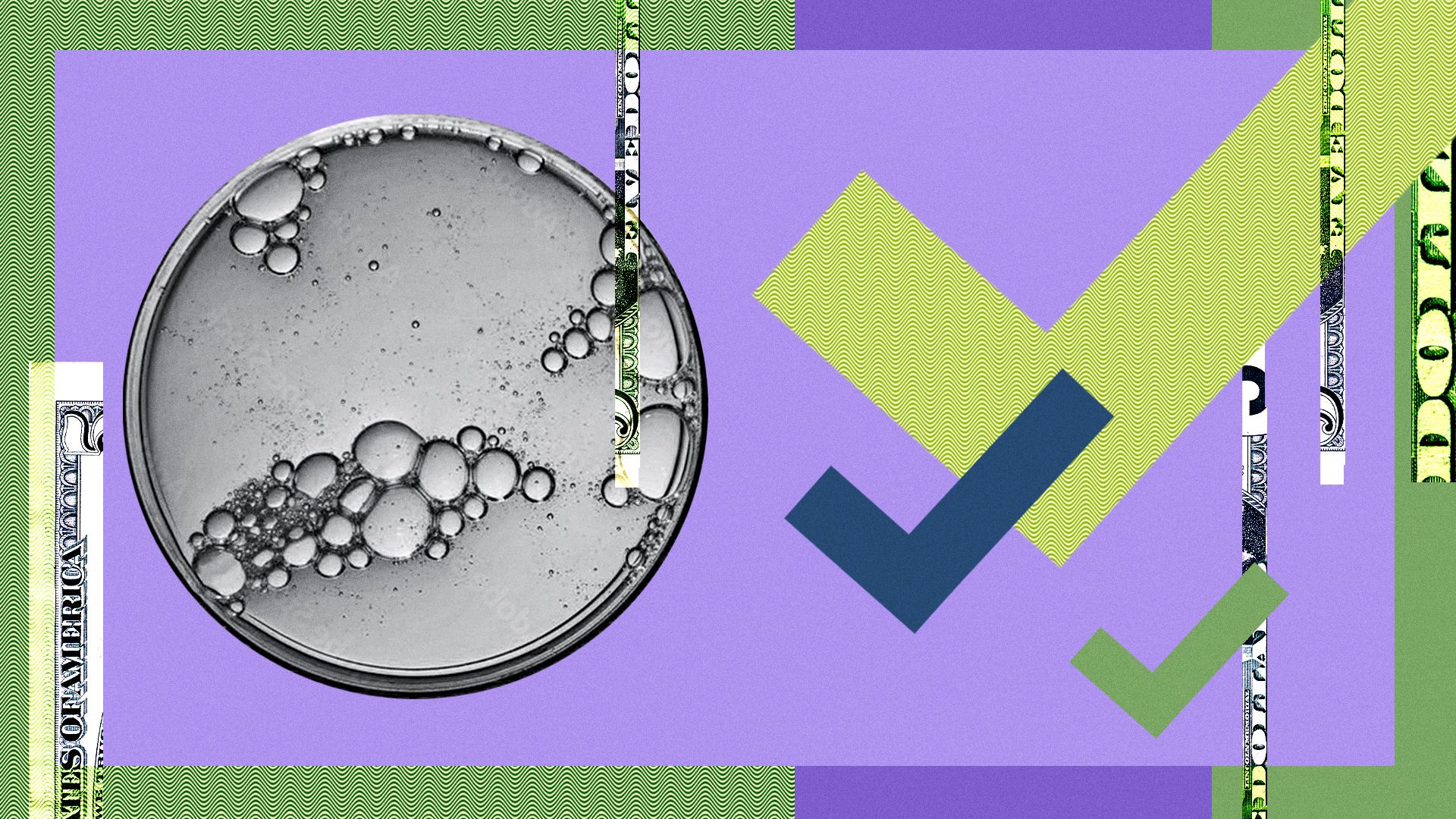 Illustration of a petri dish surrounded by abstract shapes and money.