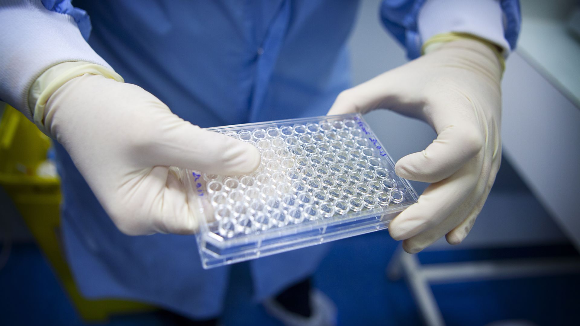 A researcher holds a plate used to grow T cells. 