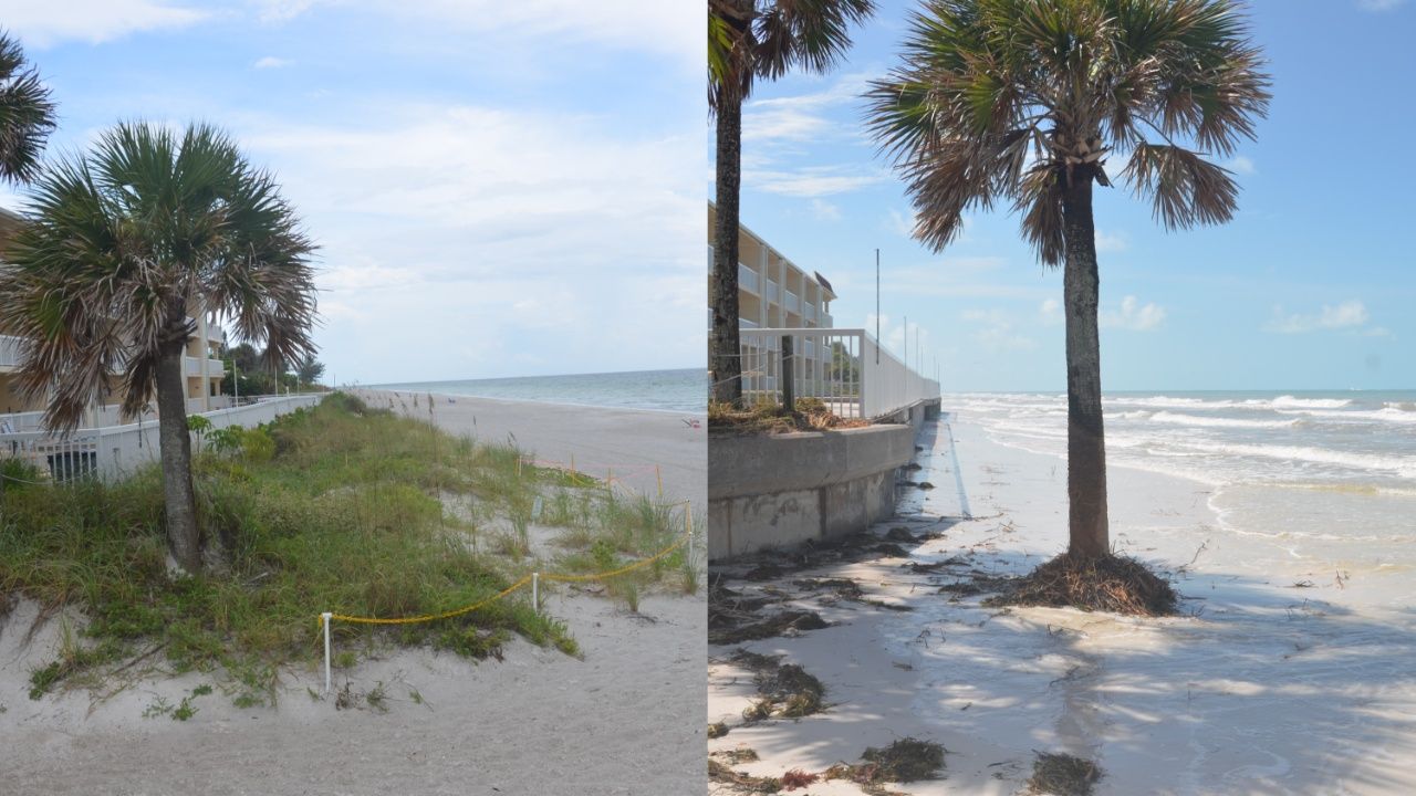 A composite of a beach shown before and after a hurricane. On the left, the beach is covered in a green patch of dunes. On the right, the dunes are gone, leaving only sand.