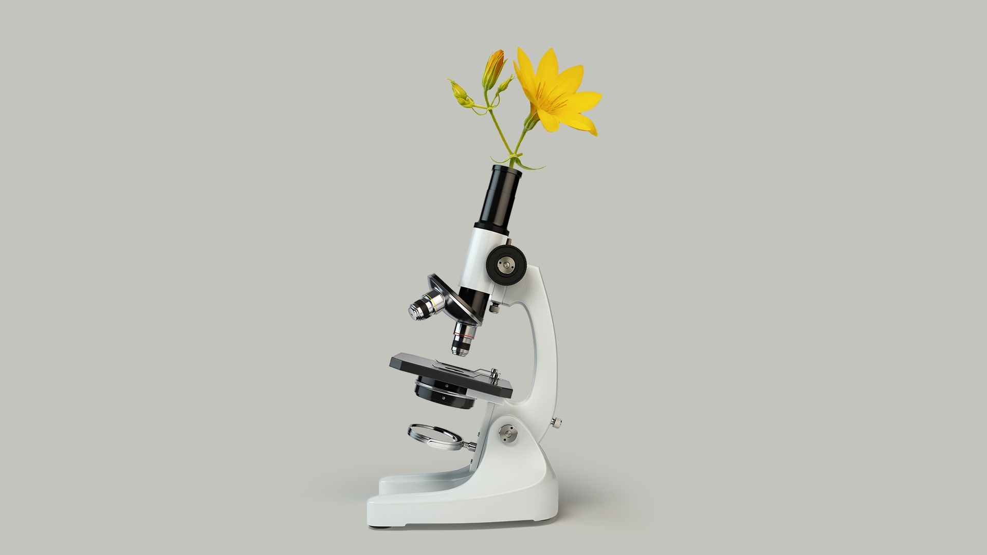 Illustration of a microscope with a flower extending from the eyepiece and tube